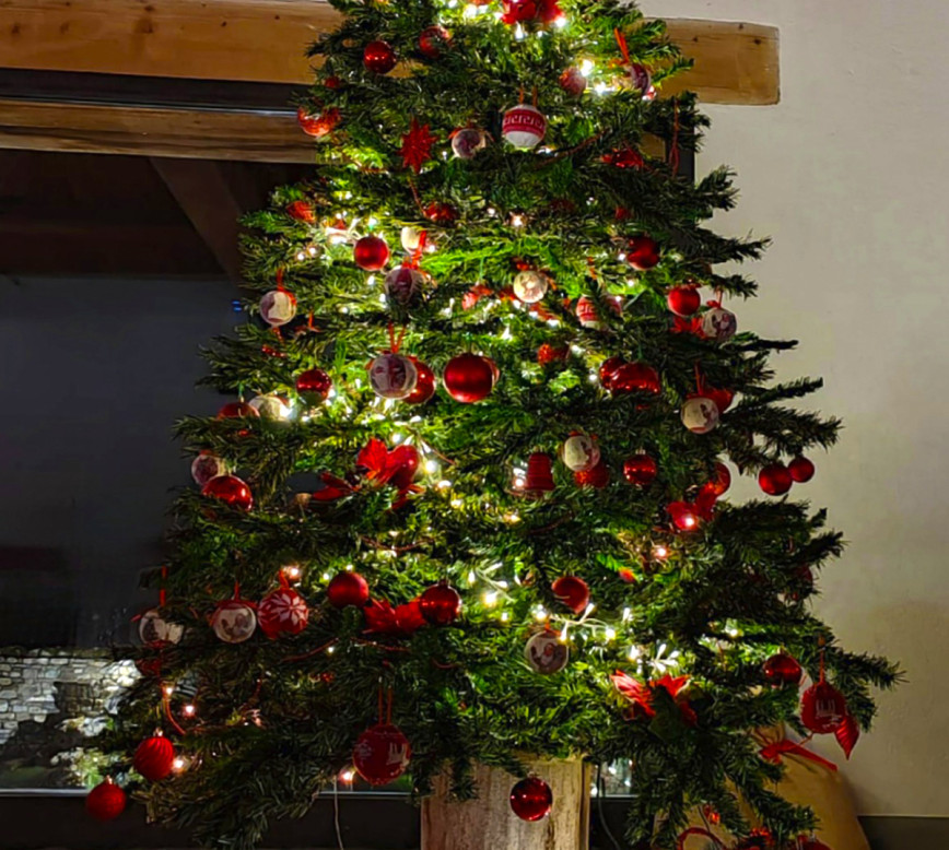 media.Albero Natale Monastero 2023-12-01 ore 22.48.48_fa2a3b9e