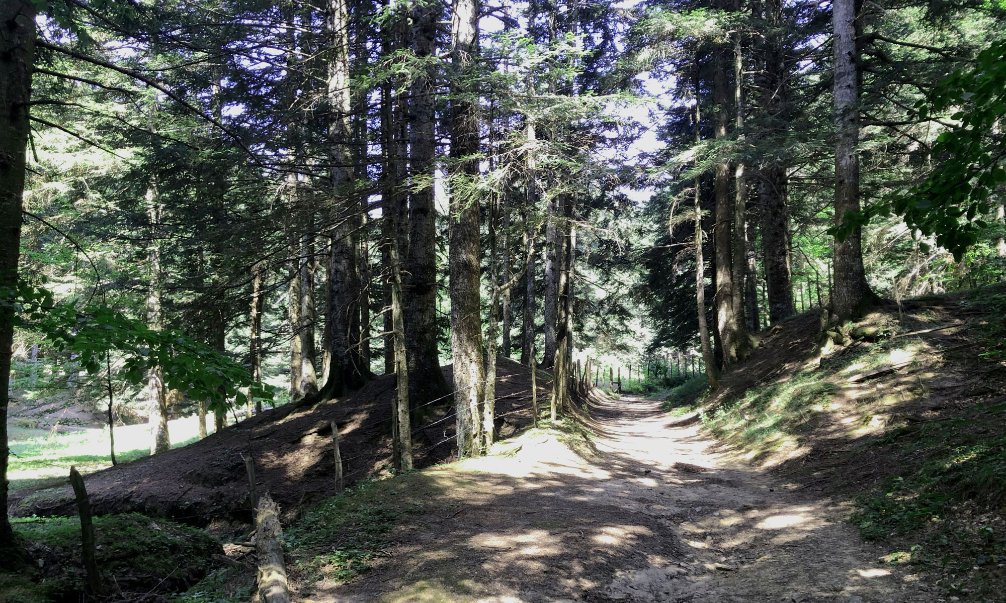 media.Slide-Esperienze1-Monastero-Sant'Alberico-Relais